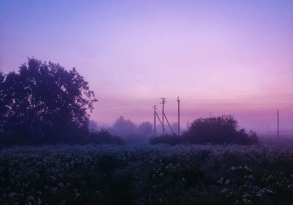 黑料网像排错:深入解析与实战指南